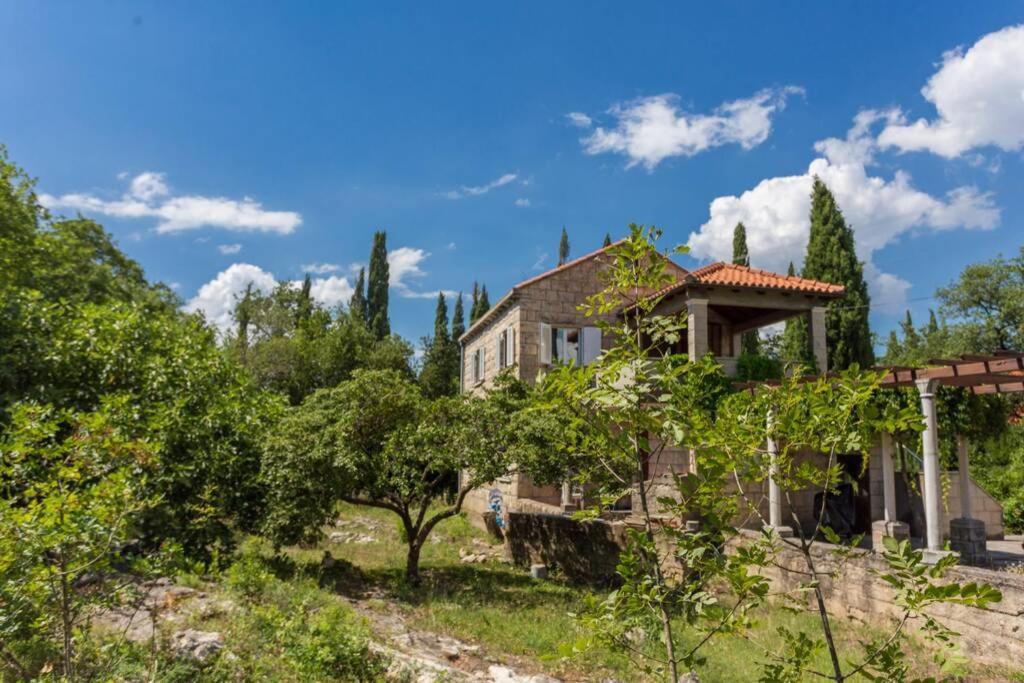 Sleep & Fly Cottage Čilipi Εξωτερικό φωτογραφία